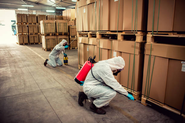 Best Bed Bug Extermination  in Simpson, PA