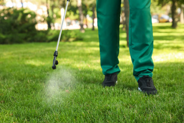 Best Exterminator Services  in Simpson, PA