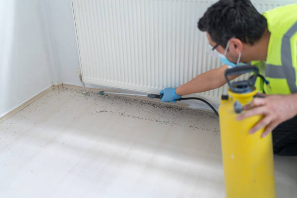 Trusted Simpson, PA Pest Control Experts